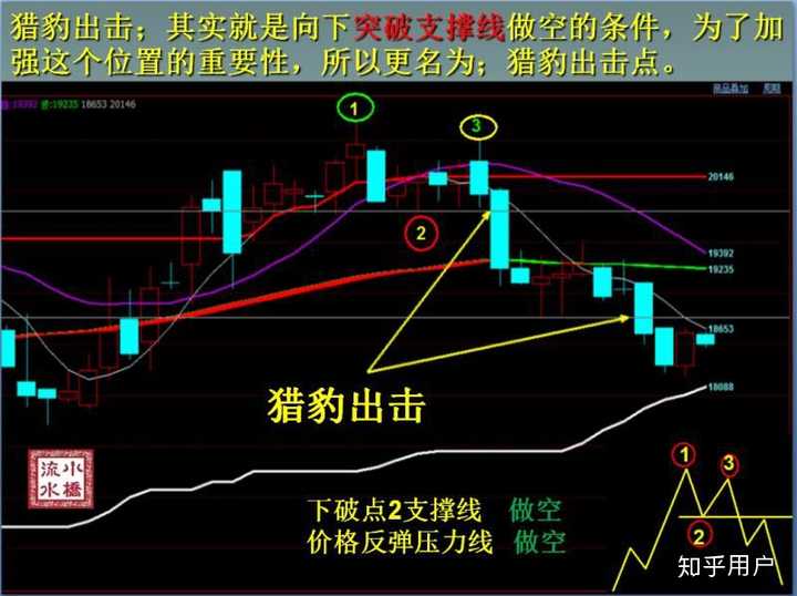 成长经历与众不同，“非寻常国手”王俊杰