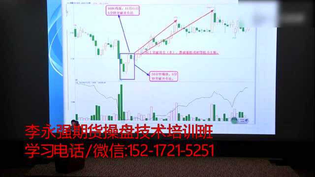 泰康人寿安徽分公司：以史为鉴，明辨风险——从"郁金香泡沫"看理性投资